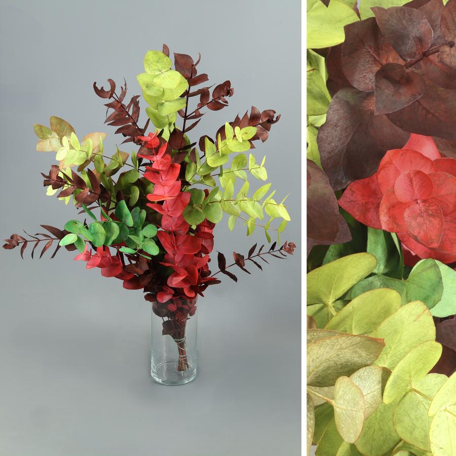 Ramo de eucalipto natural tintado mix