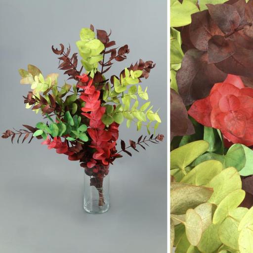 Ramo de eucalipto natural tintado mix [0]