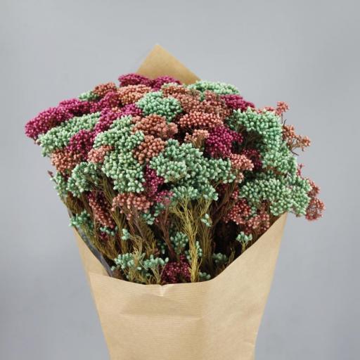 Ramo flor de arroz preservado verde y fucsia