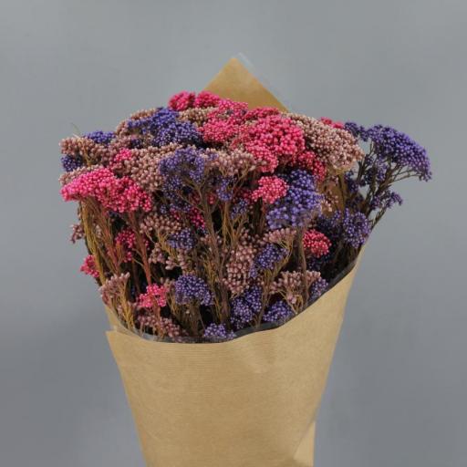 Ramo flor de arroz preservado morado y fucsia