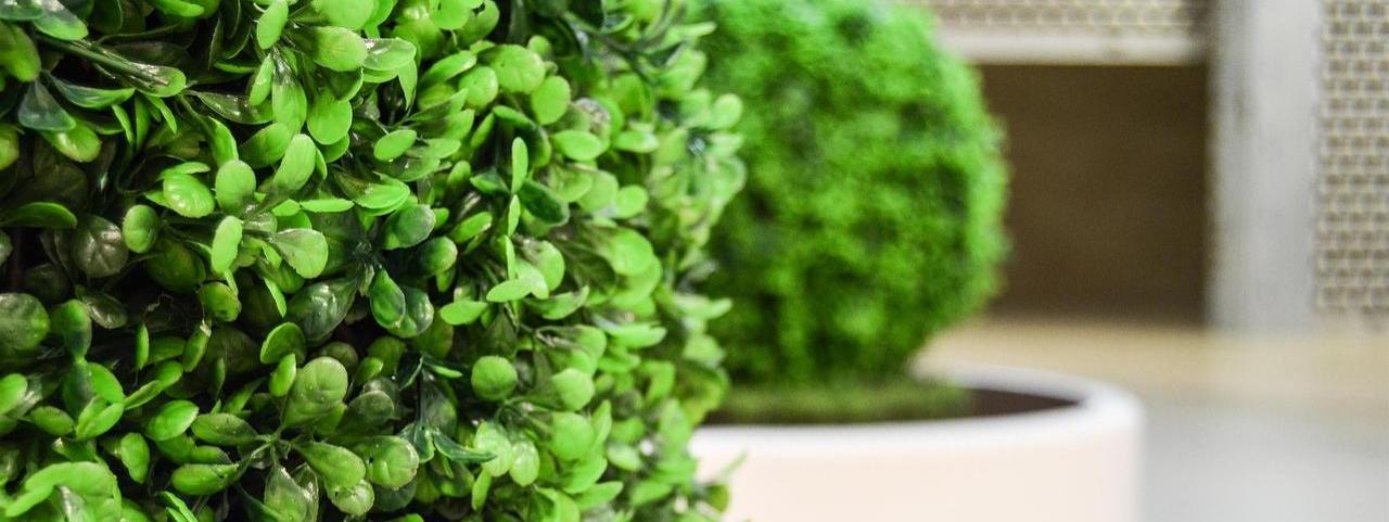 Embellece tu hogar con plantas artificiales: La solución perfecta para una decoración sin complicaciones