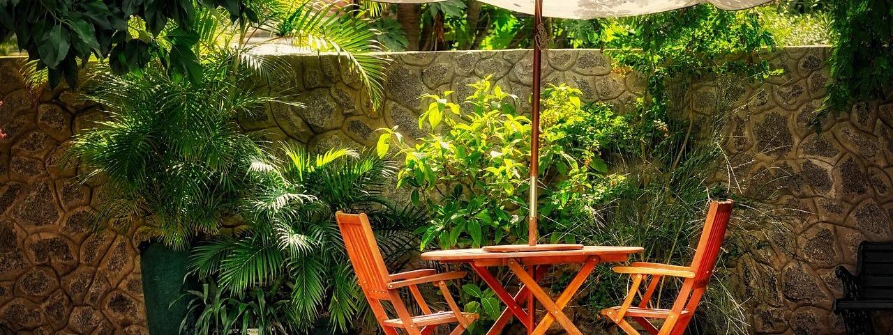 7 Plantas Resistentes al Calor para Exterior: Embellece tu Jardín con Plantas Naturales