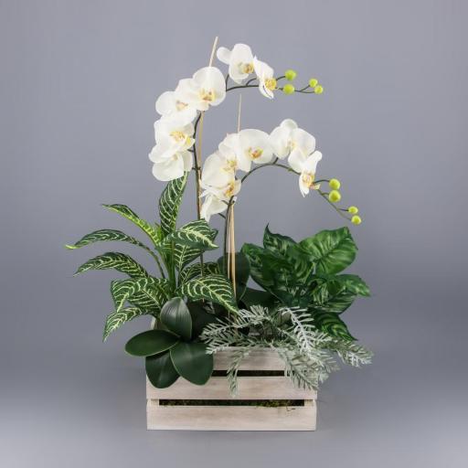 Cajón plantas artificiales orquidea [0]