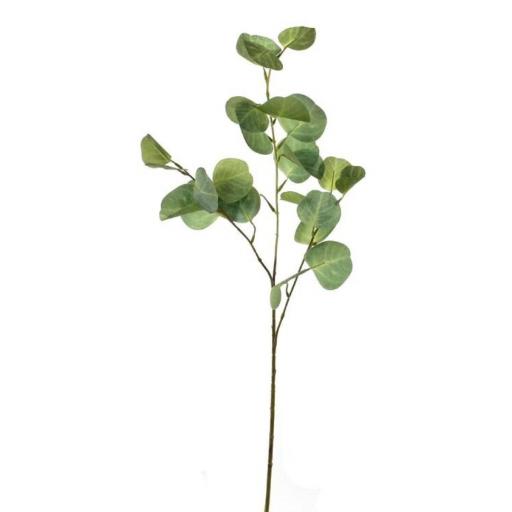 Vara eucalipto realista 75 cm