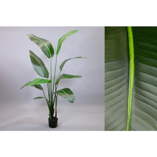 Strelitzia artificial 155 cm