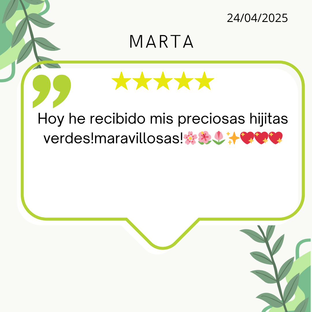 Post de Instagram Comentarios Reseña Moderno Amarillo (27).png