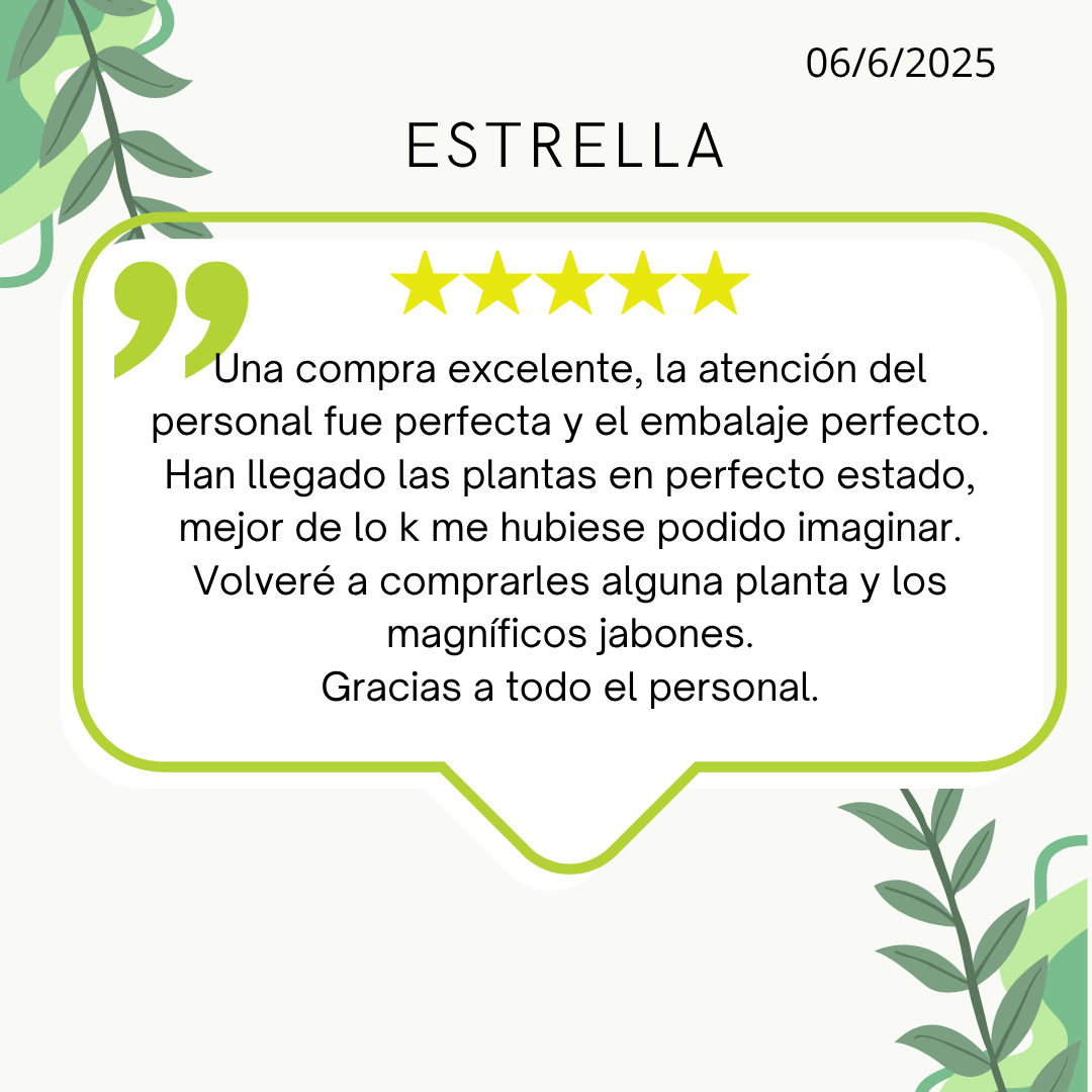 Post de Instagram Comentarios Reseña Moderno Amarillo (29).png