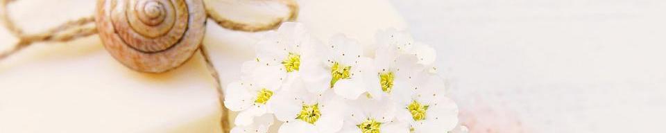 EcoLiving: Productos de limpieza ecológicos