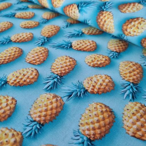 Algodon 100% organico - Solo Piñas [0]