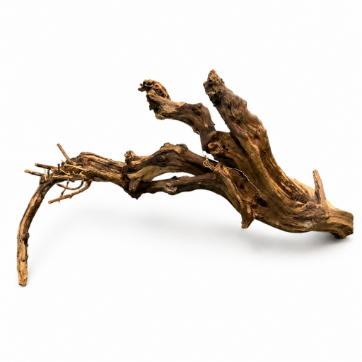 Sanda Wood [0]