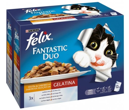  FELIX FANTASTIC Duo Delicious Carne (12x100g) 