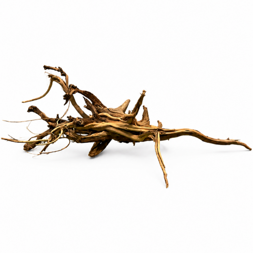 ​Sanda Wood