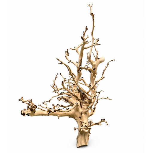 Kimtuyen Wood  [0]