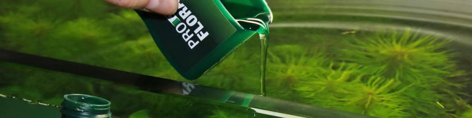 Fertilizantes para plantas