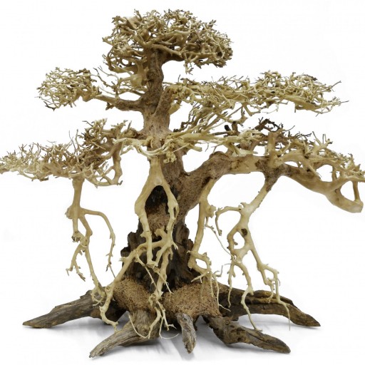 Decoracion Bonsai Recto 30x35 para acuarios de agua dulce [0]