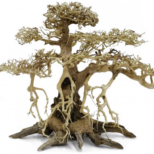 Decoracion Bonsai Recto 20x25 para acuarios de agua dulce