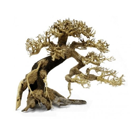Decoración Bonsai Cascada Derecha 30x35 para acuarios de agua dulce