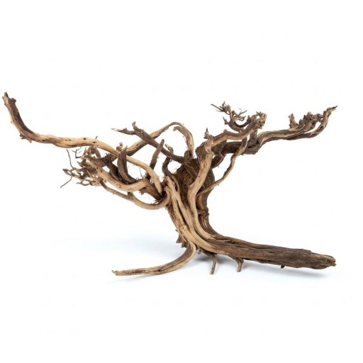  Raíz Decorativa Natural Satung wood  [1]