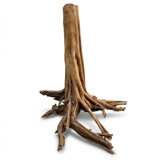  Raíz Decorativa Natural Sam Wood