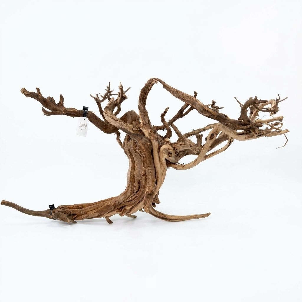 Raíz Decorativa Natural Satung wood