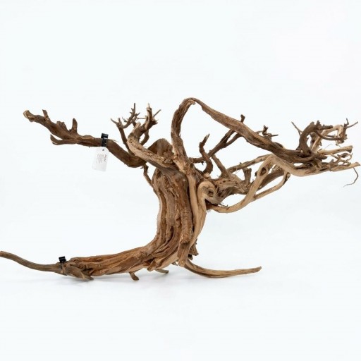  Raíz Decorativa Natural Satung wood 