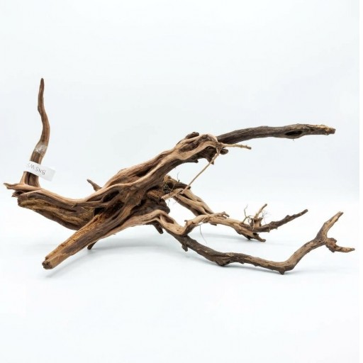  Raíz Decorativa Natural Satung wood  [1]