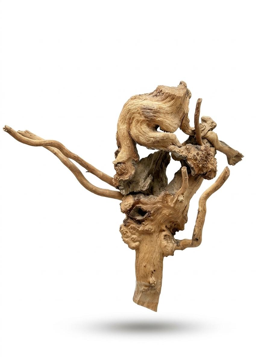 Raíz Decorativa Natural Thach as wood
