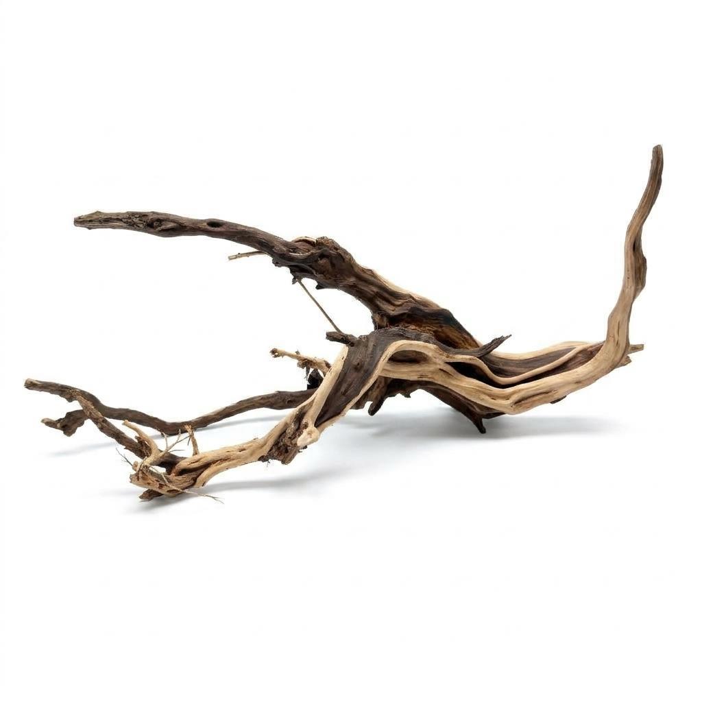 Raíz Decorativa Natural Satung wood