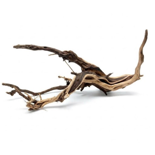  Raíz Decorativa Natural Satung wood 