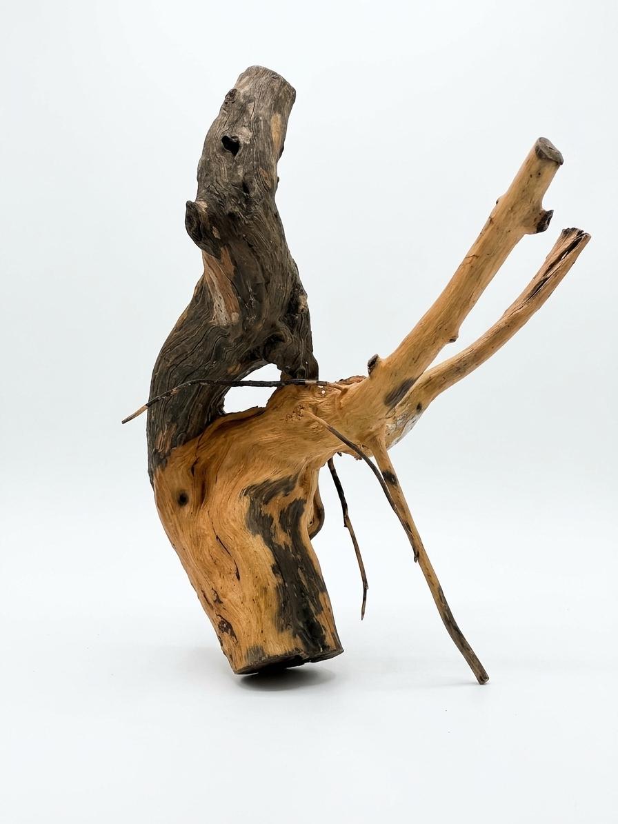 Raíz Decorativa Natural Thach as Wood