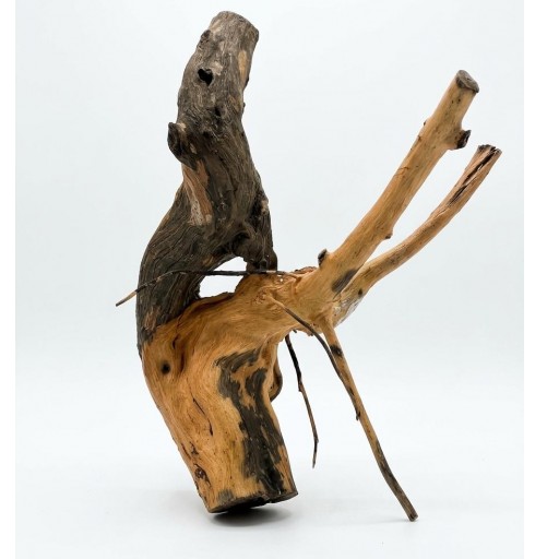 Raíz Decorativa Natural Thach as Wood
