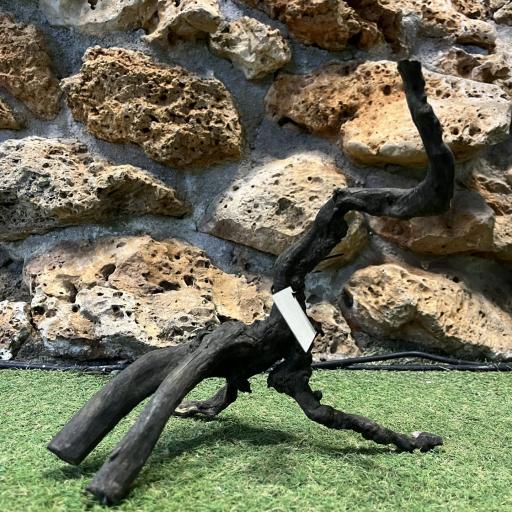 Sera Scaper Root [0]