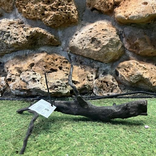 Sera Scaper Root [0]