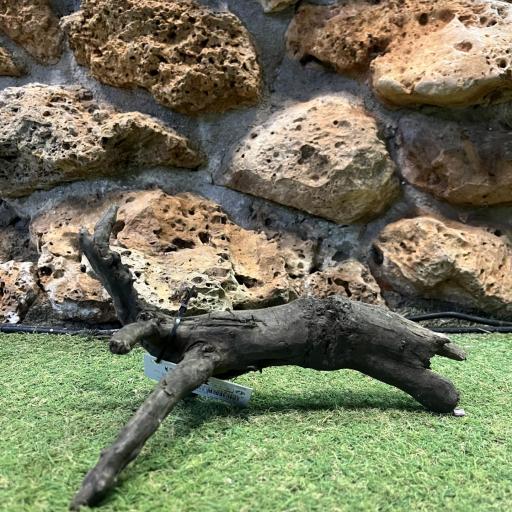 Sera Scaper Root [0]