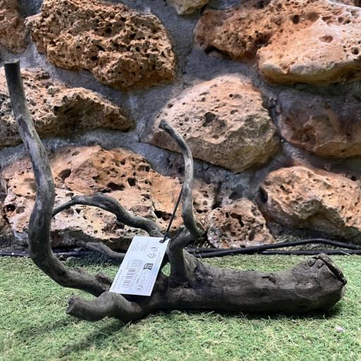 Sera Scaper Root [0]