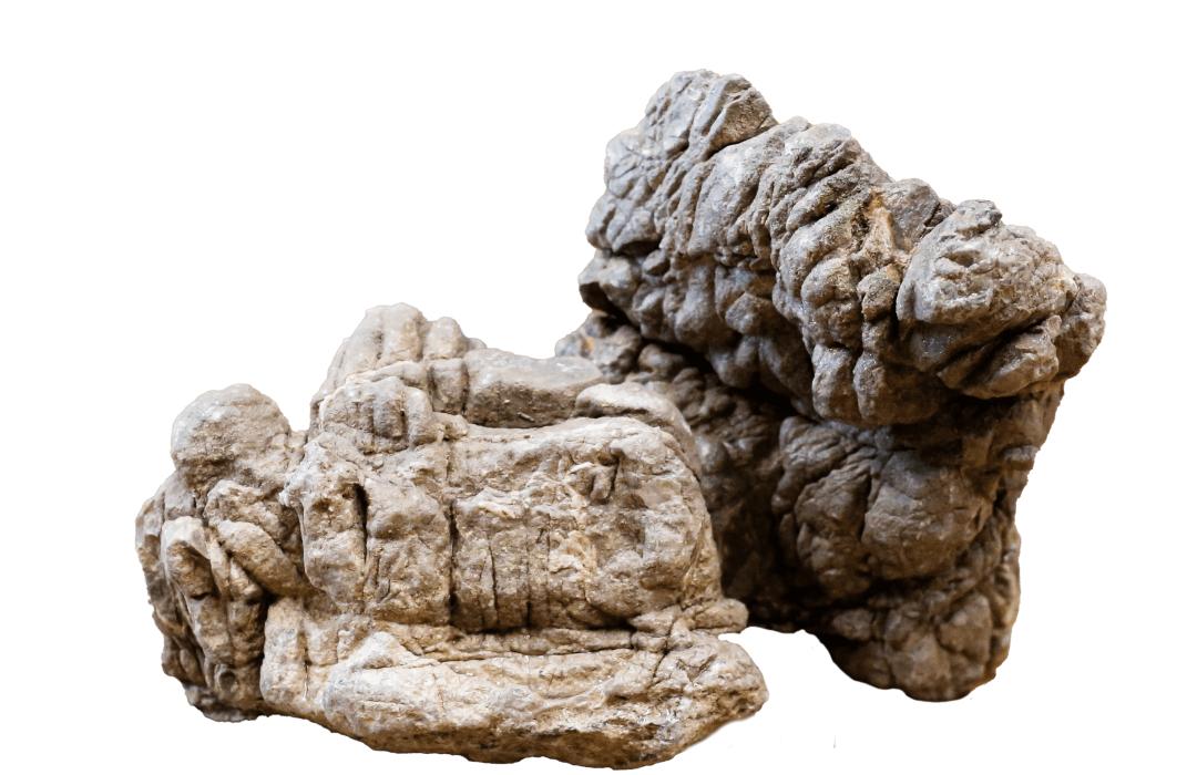 Roca Turtle Rock Para Acuarios 20-40cm