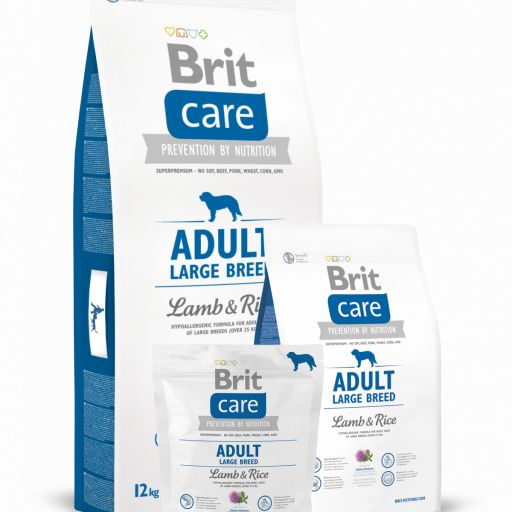 Pienso para perro de cordero y arroz croqueta grande,Brit Care [0]
