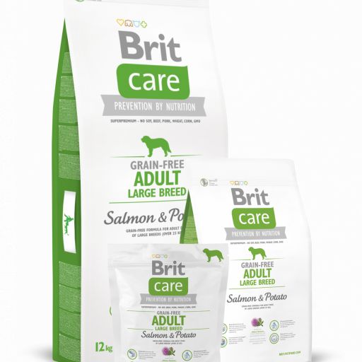 Pienso para perro adulto de salmón y patata croqueta grande Grain-Free, Brit Care [0]