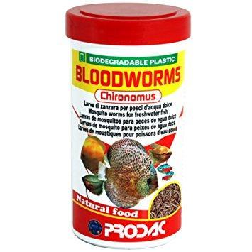 Bloodworms chironomus larva roja de mosquito