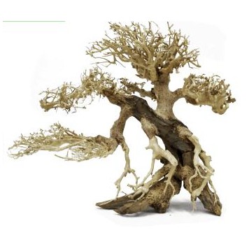 Decoracion Bonsai Caida izquierda 30x35 para acuarios de agua dulce