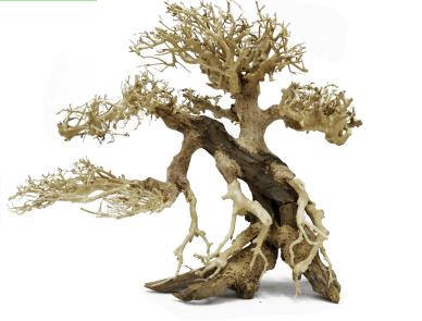 Decoracion Bonsai Caida izquierda 20x25 para acuarios de agua dulce