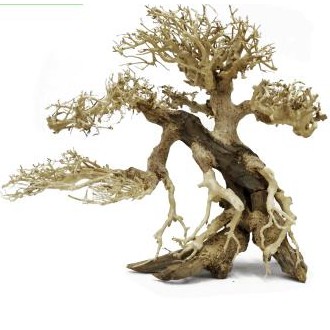 Decoracion Bonsai Caida izquierda 20x25 para acuarios de agua dulce