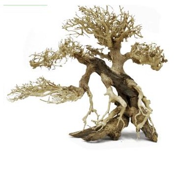 Decoracion Bonsai Caida izquierda 12x15 para acuarios de agua dulce