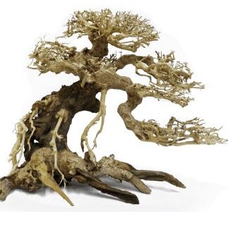 Decoracion Bonsai Caida Derecha 30x35 para acuarios de agua dulce