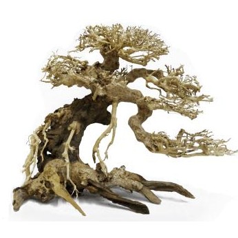 Decoracion Bonsai Caida Derecha 20x25 para acuarios de agua dulce