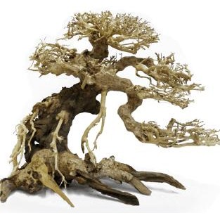 Decoracion Bonsai Caida Derecha 12x15 para acuarios de agua dulce