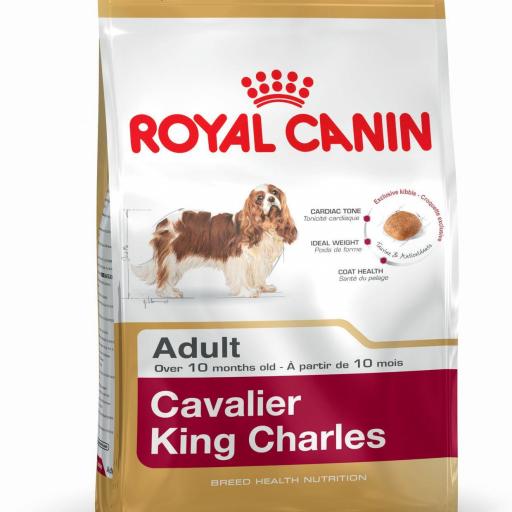 Royal Canin Cavalier King Charles [0]