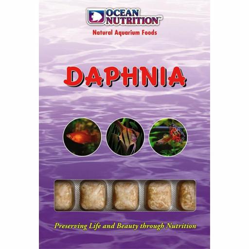 DAPHNIA 100G (6 UNI) OCEAN NUTRICION