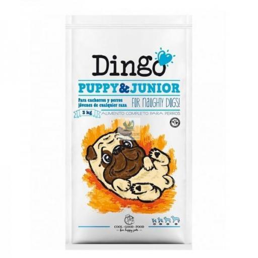 Dingo Puppy & Junior  [0]