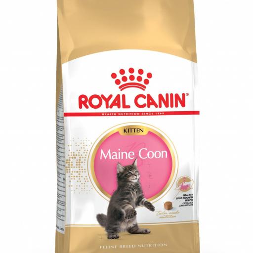Royal Canin Maine Coon 4kg